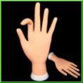 MANO PARA PRACTICAS DE UÑAS ESCULPIDAS